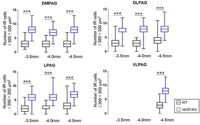 Larger Numbers of Glial and Neuronal Cells in the Periaqueductal Gray Matter of μ-Opioid Receptor Knockout Mice